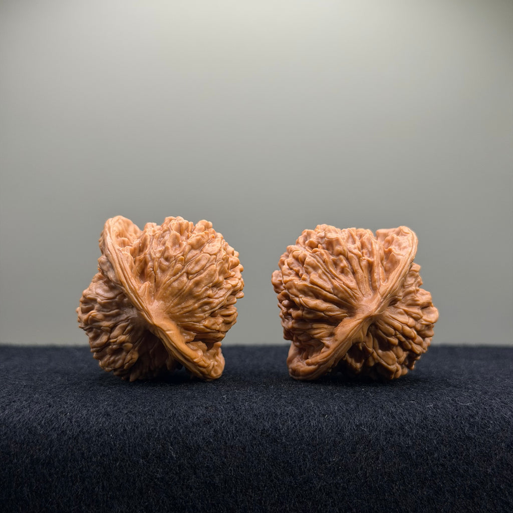Four Towers Wenwan Walnut · 39mm · Entry Ritual