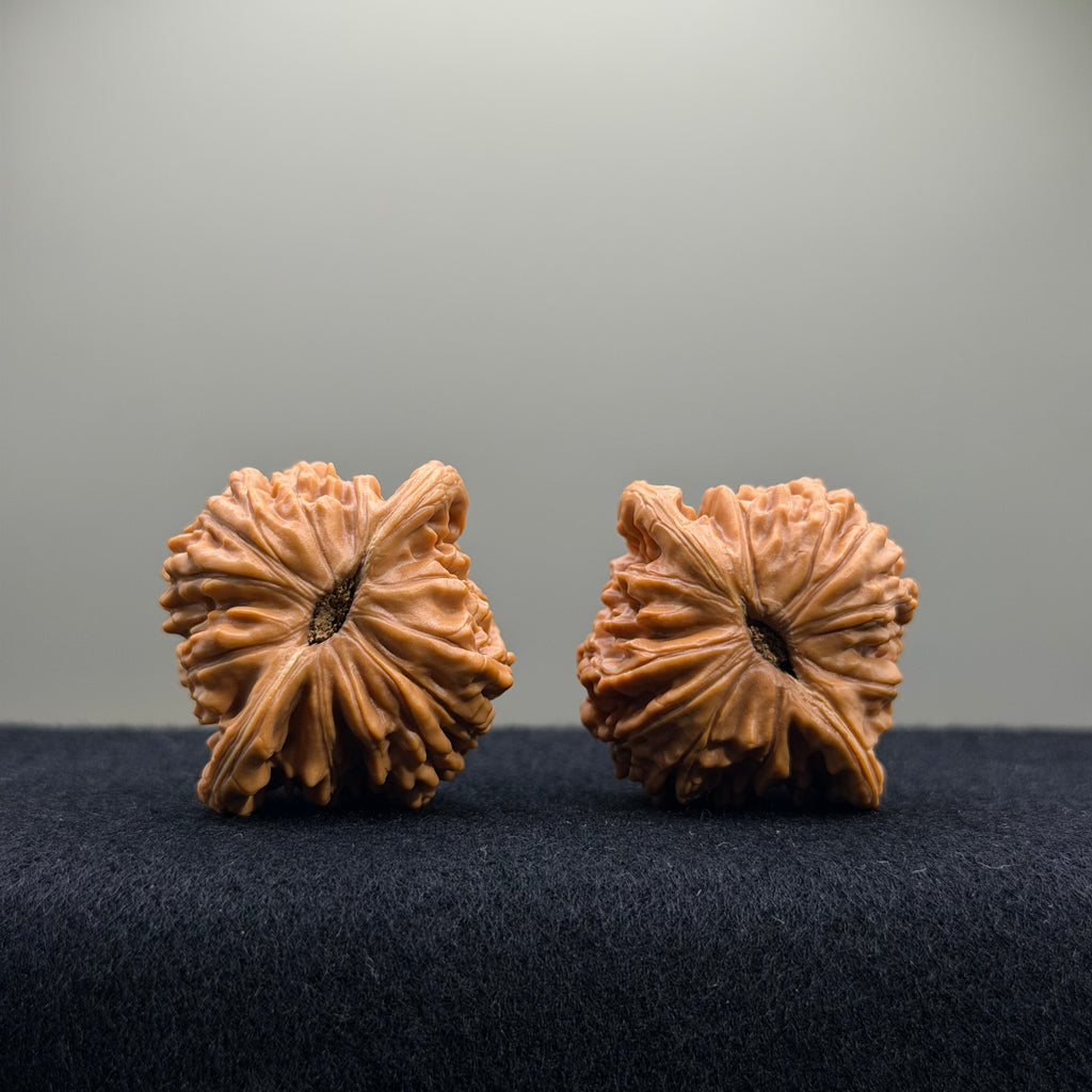 Four Towers Wenwan Walnut · 39mm · Entry Ritual