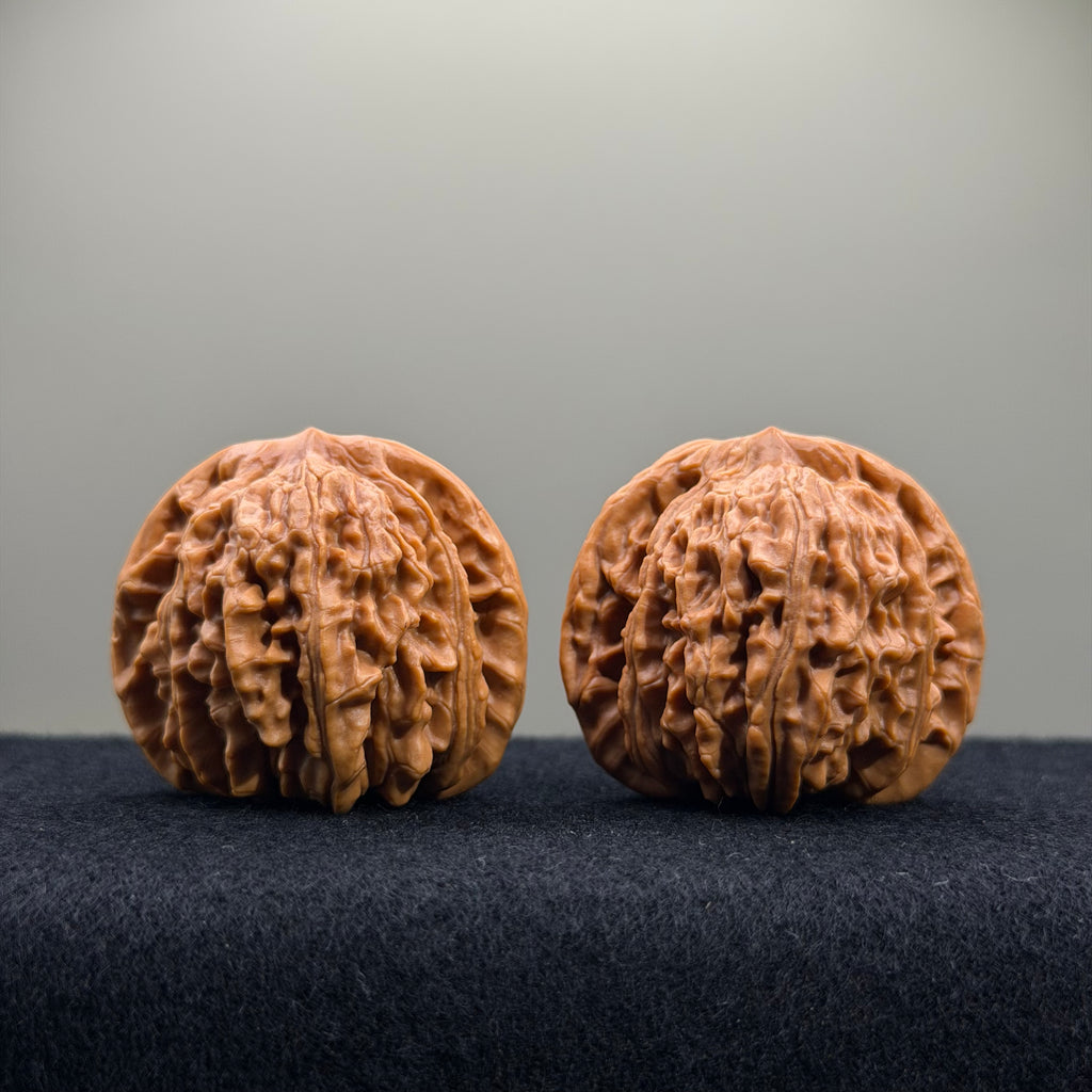Four Towers Wenwan Walnut · 41mm · Entry Ritual