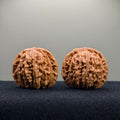 Four Towers Wenwan Walnut · 41mm · Entry Ritual
