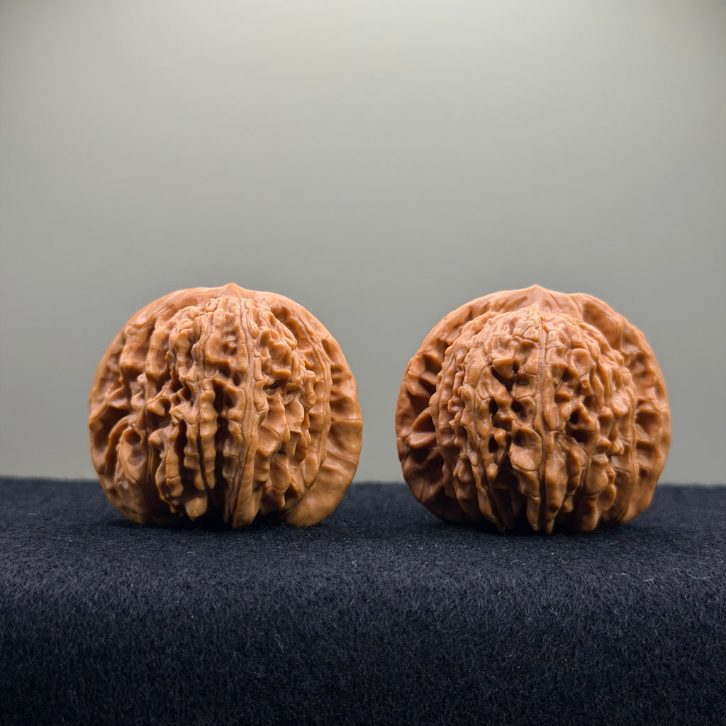 Four Towers Wenwan Walnut · 41mm · Entry Ritual