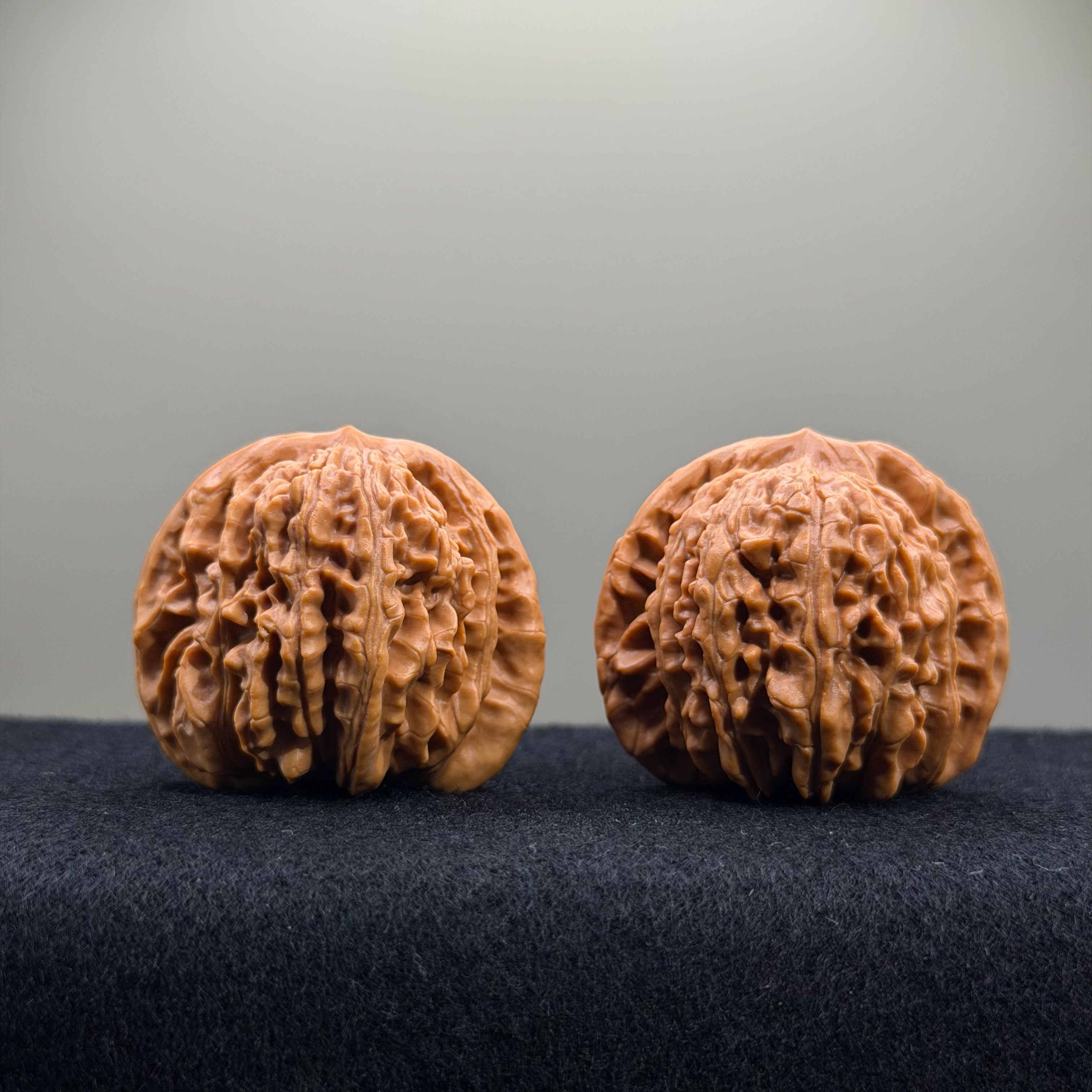 Four Towers Wenwan Walnut · 41mm · Entry Ritual