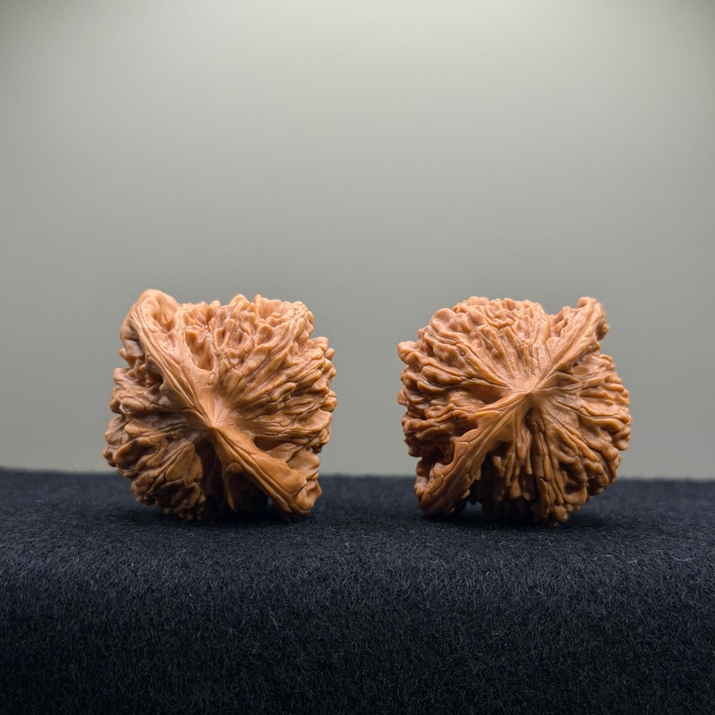 Four Towers Wenwan Walnut · 41mm · Entry Ritual