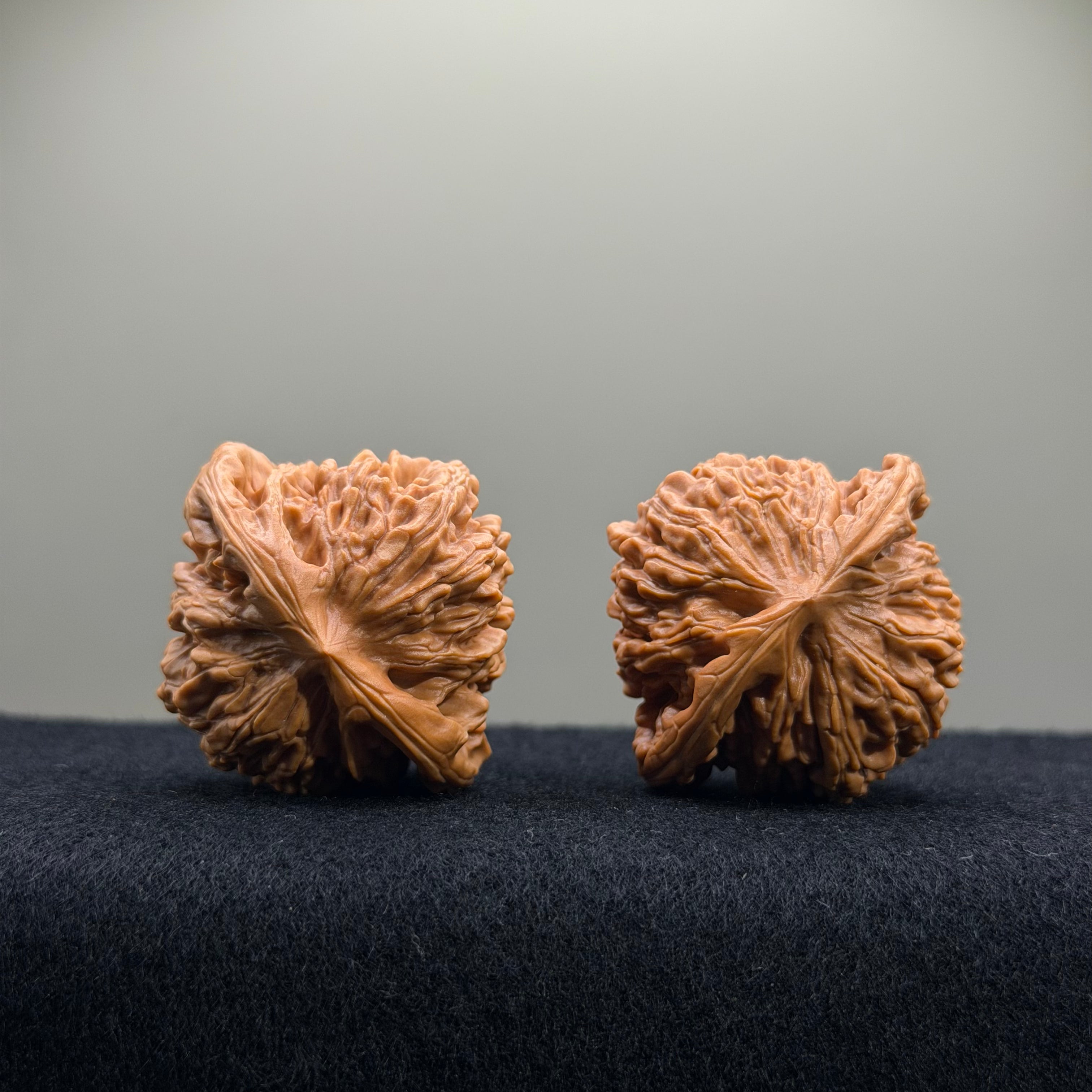 Four Towers Wenwan Walnut · 41mm · Entry Ritual