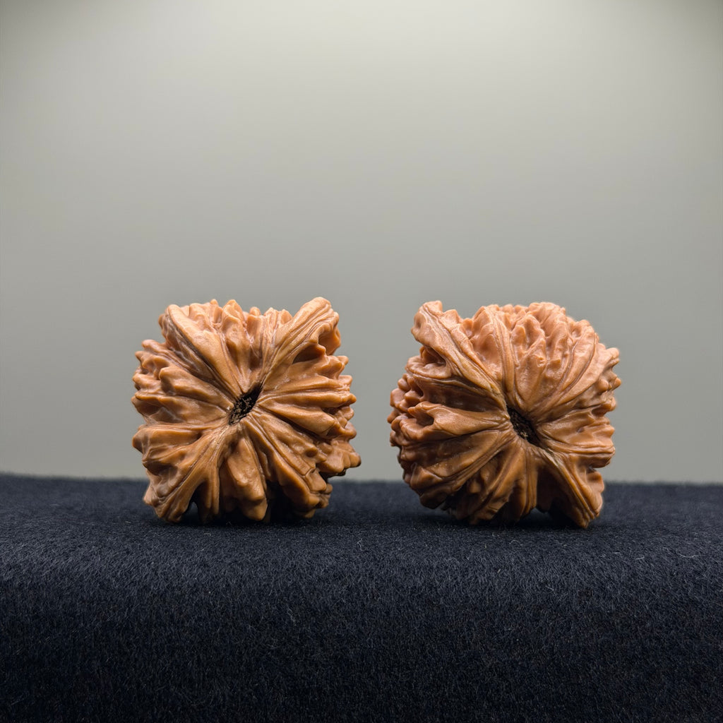 Four Towers Wenwan Walnut · 41mm · Entry Ritual