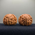 Four Towers Wenwan Walnut · 42mm · Entry Ritual