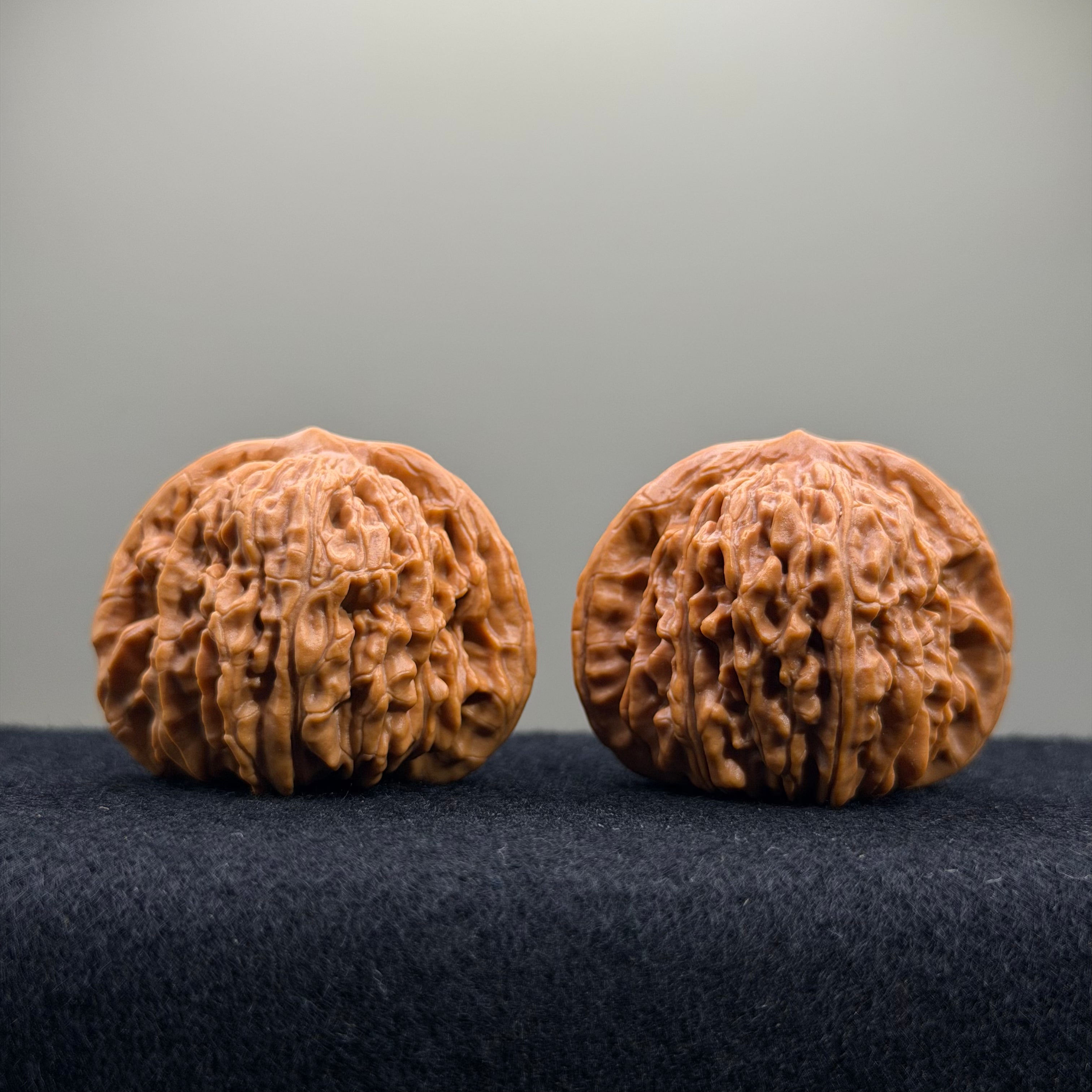 Four Towers Wenwan Walnut · 42mm · Entry Ritual