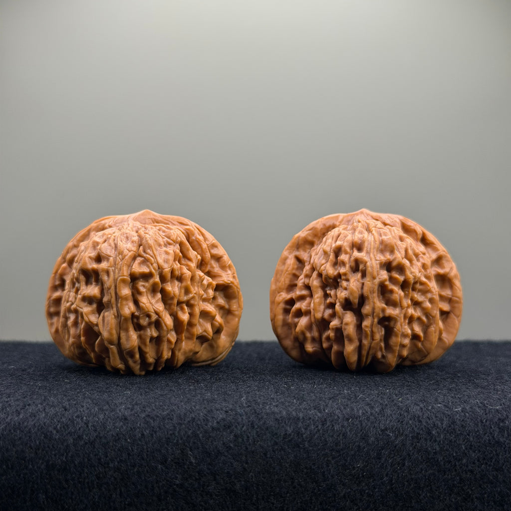 Four Towers Wenwan Walnut · 42mm · Entry Ritual