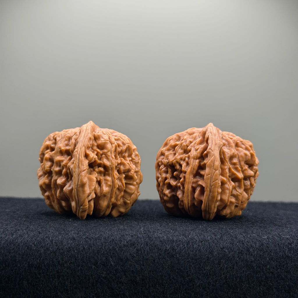 Four Towers Wenwan Walnut · 42mm · Entry Ritual