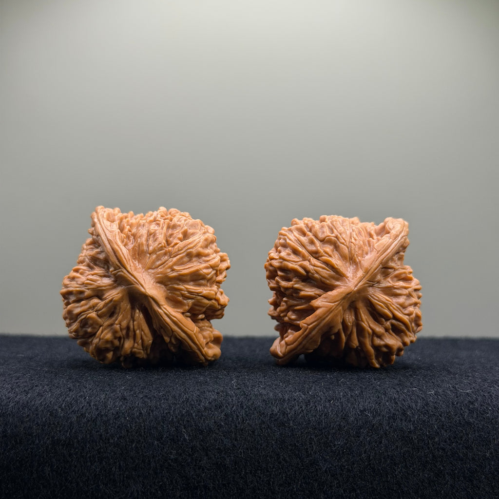 Four Towers Wenwan Walnut · 42mm · Entry Ritual