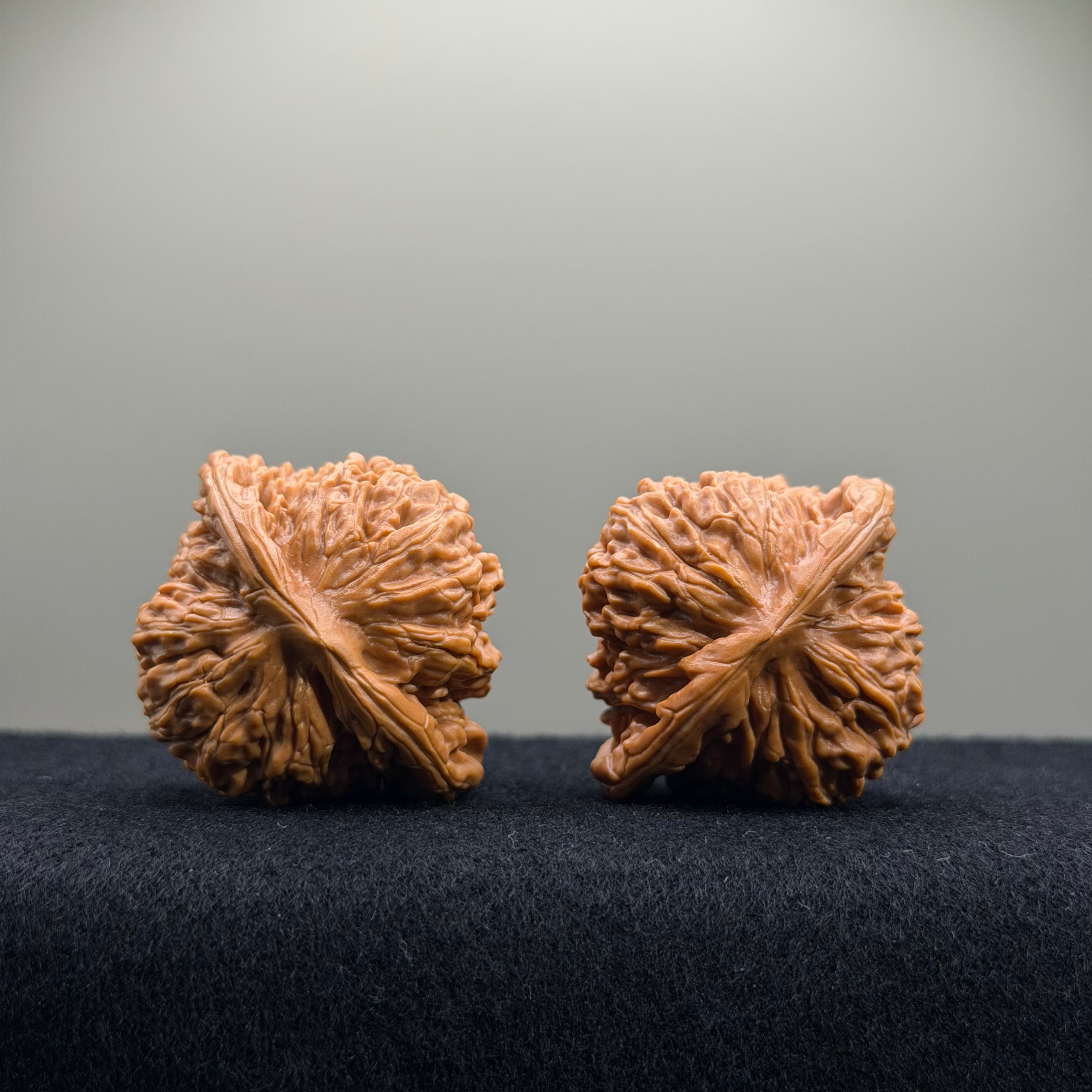 Four Towers Wenwan Walnut · 42mm · Entry Ritual