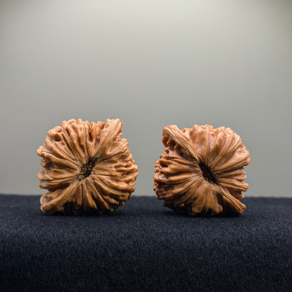 Four Towers Wenwan Walnut · 42mm · Entry Ritual