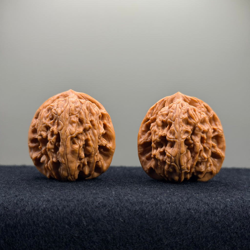 Wheat Ear Tiger Head Wenwan Walnut · 35mm · Entry Ritual