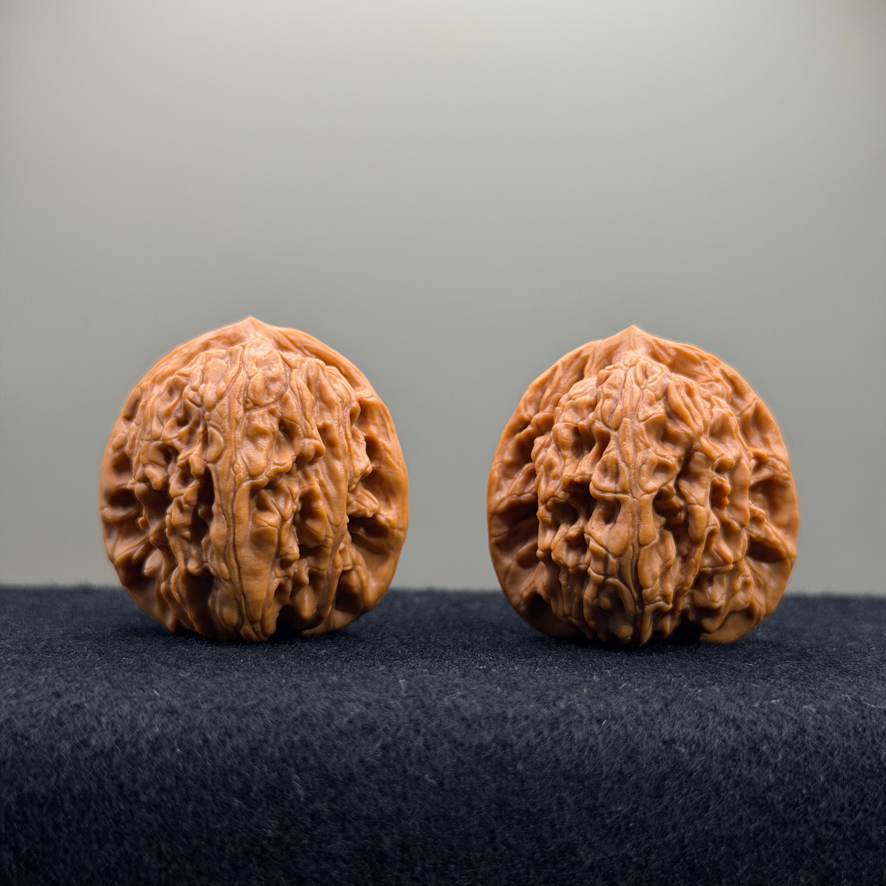 Wheat Ear Tiger Head Wenwan Walnut · 35mm · Entry Ritual