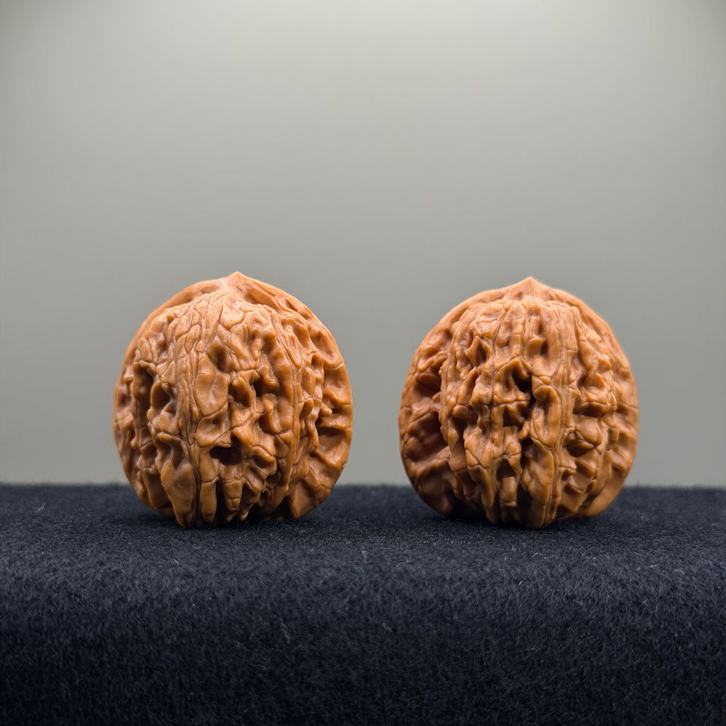 Wheat Ear Tiger Head Wenwan Walnut · 35mm · Entry Ritual