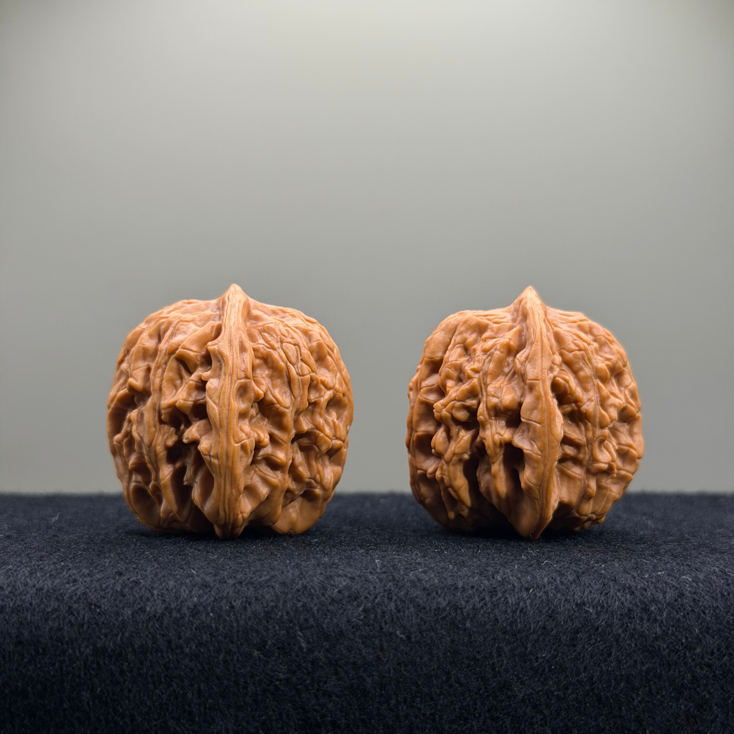 Wheat Ear Tiger Head Wenwan Walnut · 35mm · Entry Ritual