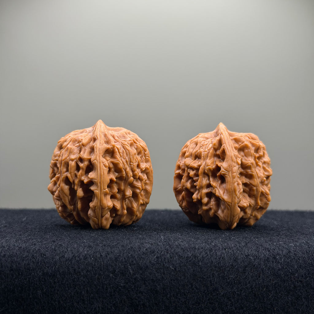 Wheat Ear Tiger Head Wenwan Walnut · 35mm · Entry Ritual