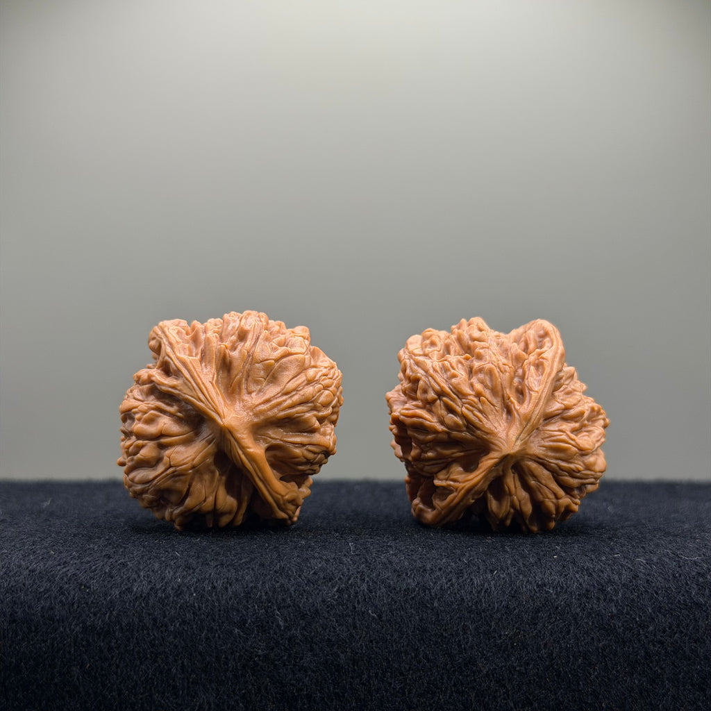 Wheat Ear Tiger Head Wenwan Walnut · 35mm · Entry Ritual