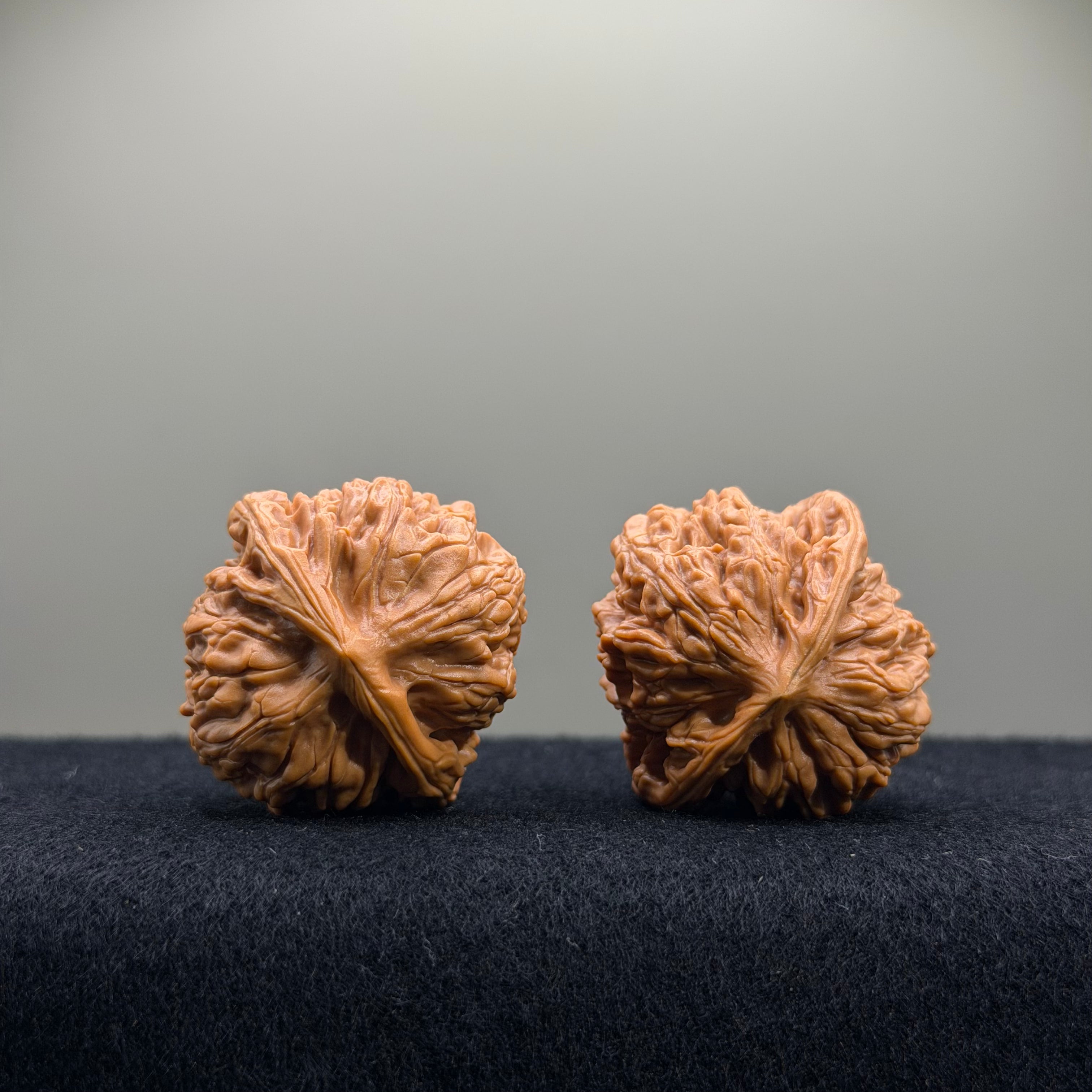 Wheat Ear Tiger Head Wenwan Walnut · 35mm · Entry Ritual