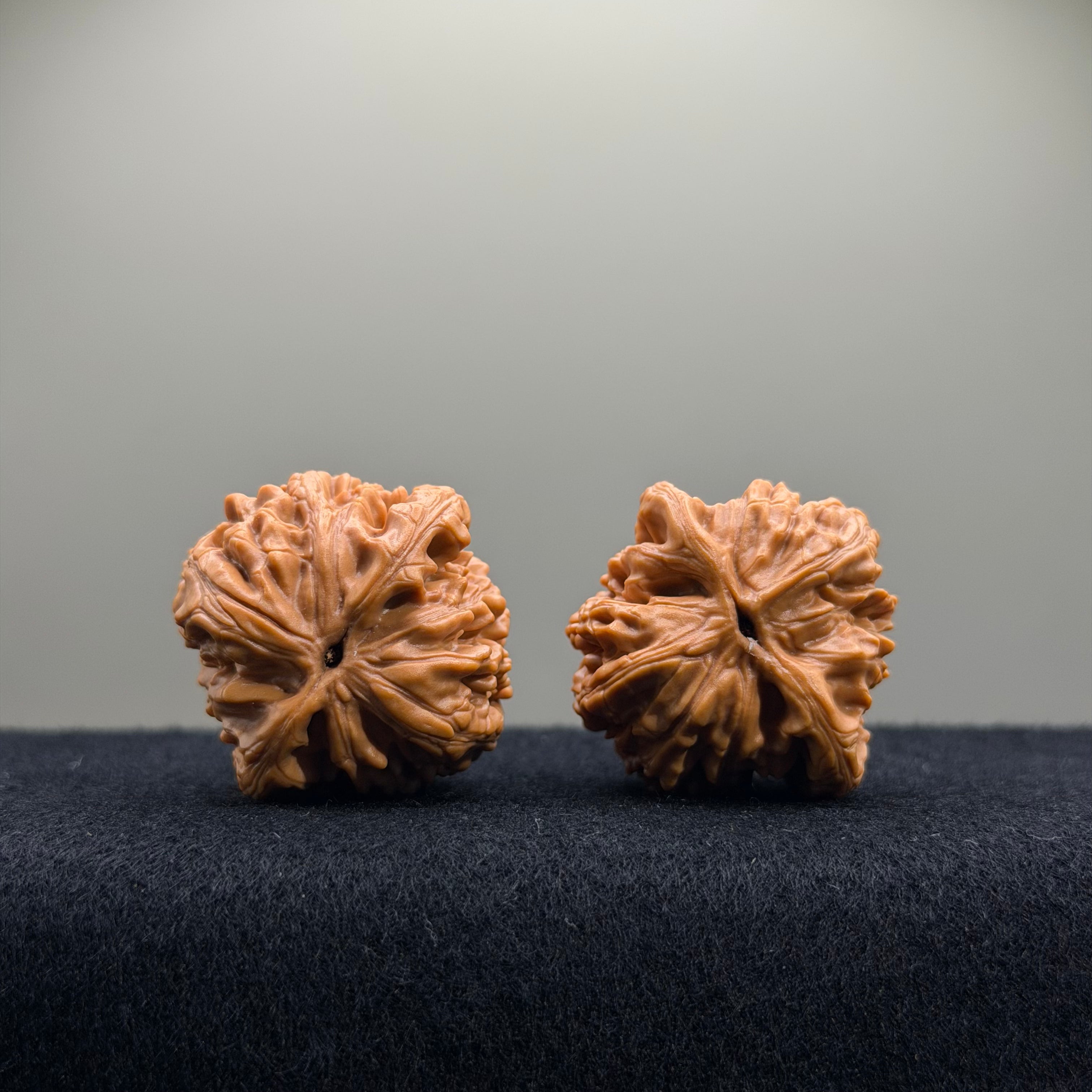 Wheat Ear Tiger Head Wenwan Walnut · 35mm · Entry Ritual