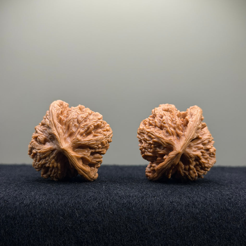 Wheat Ear Tiger Head Wenwan Walnut · 36mm · Entry Ritual