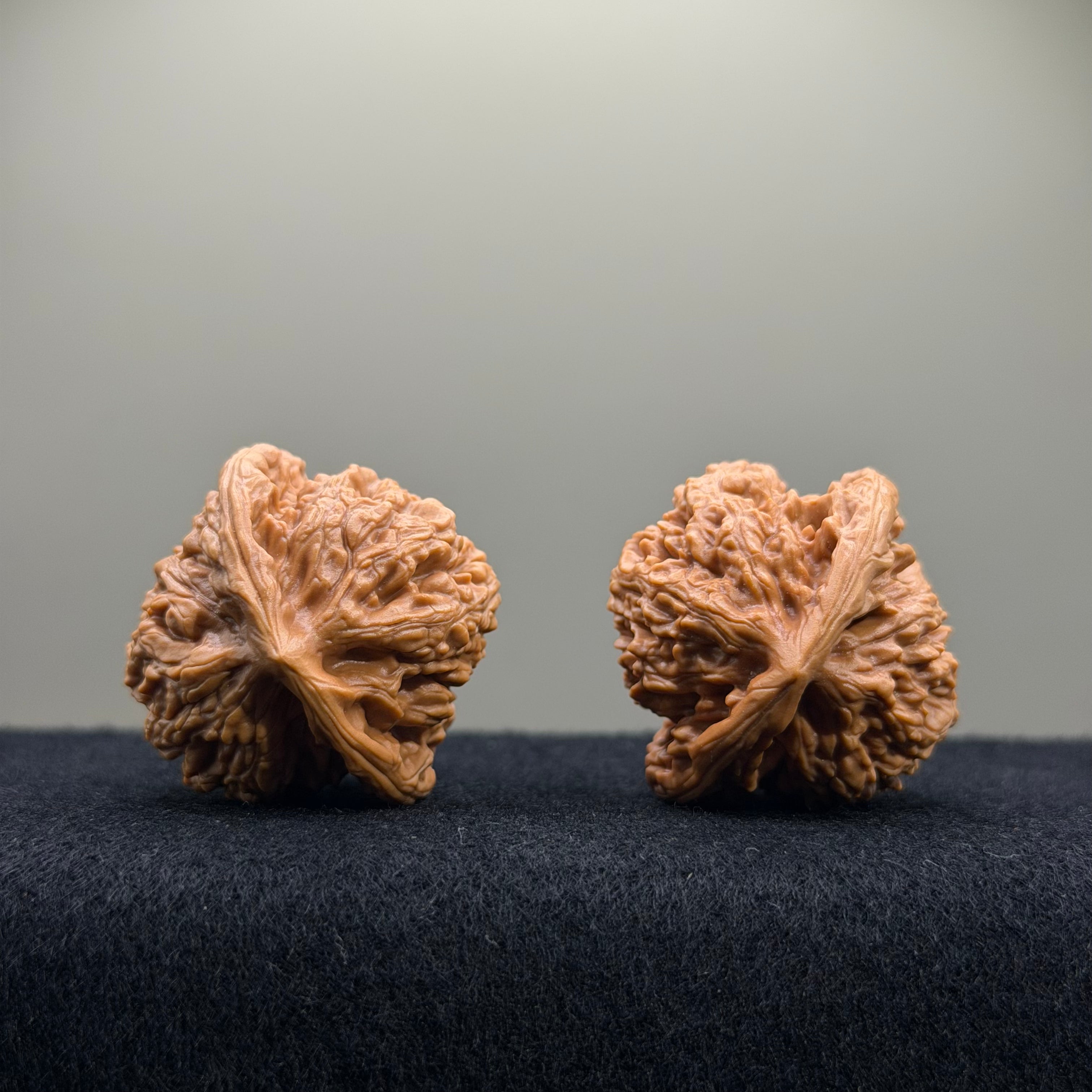 Wheat Ear Tiger Head Wenwan Walnut · 36mm · Entry Ritual