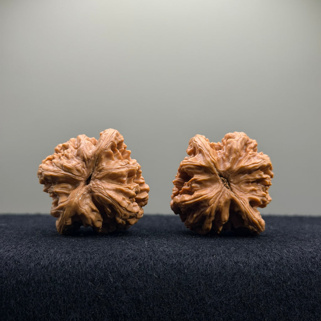 Wheat Ear Tiger Head Wenwan Walnut · 36mm · Entry Ritual