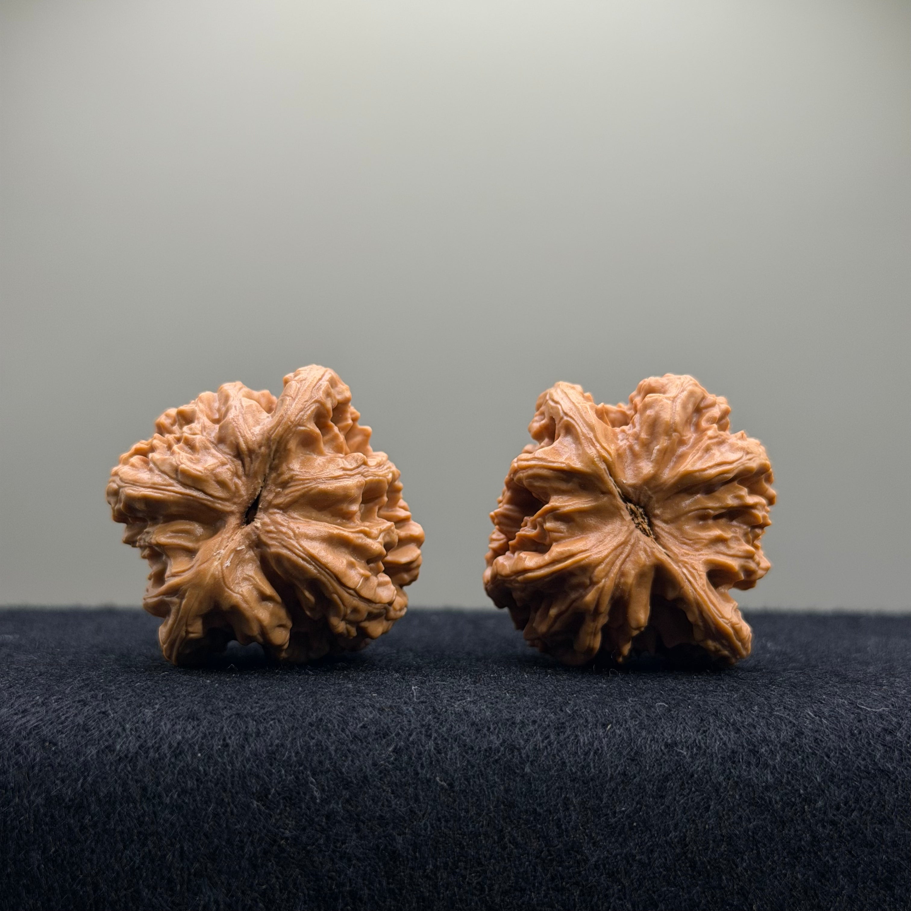 Wheat Ear Tiger Head Wenwan Walnut · 36mm · Entry Ritual