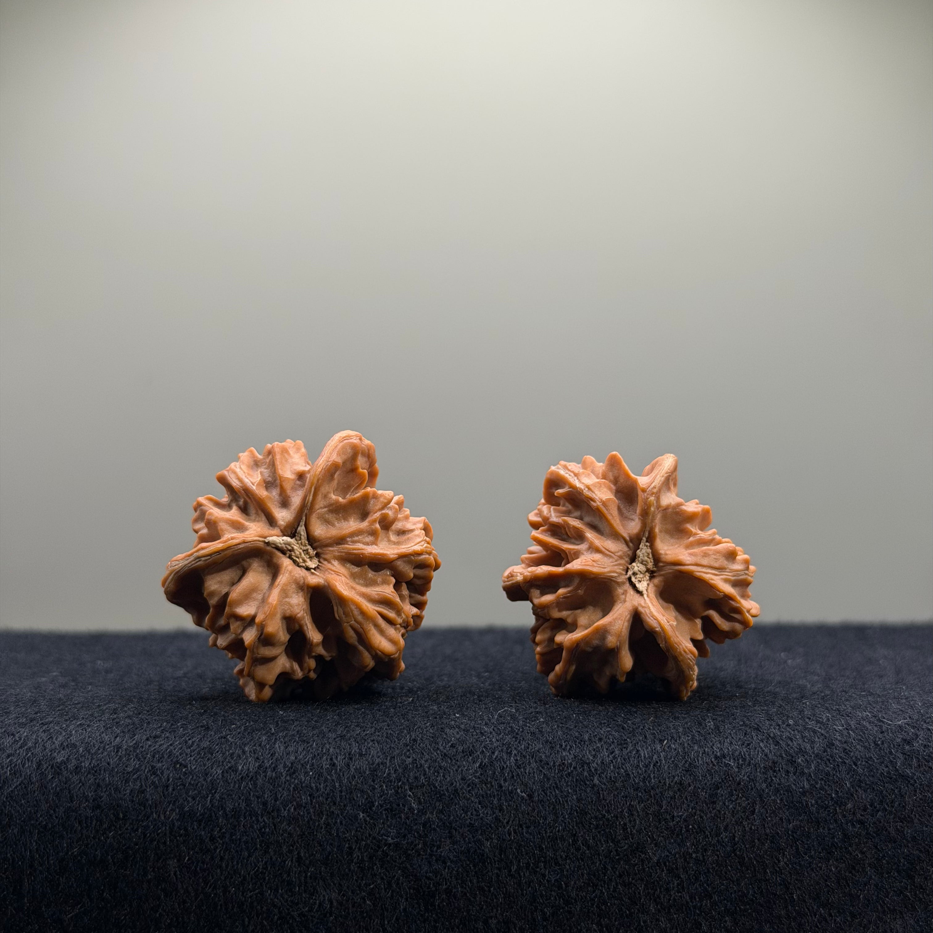 Gourd Tri-Ridge Wenwan Walnut · 31mm · Natural · Premium Ritual