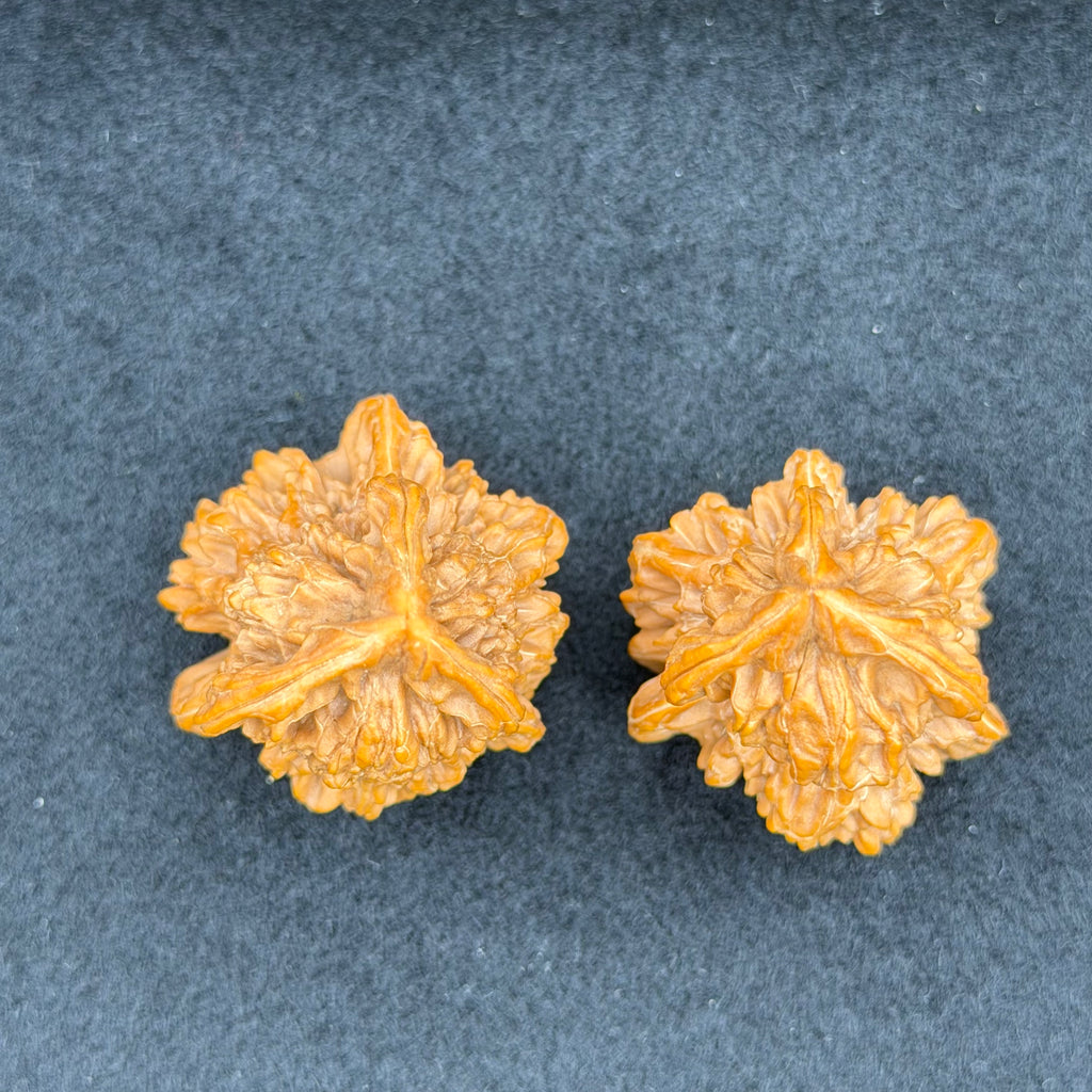 Gourd Tri-Ridge Wenwan Walnut · 31mm · Natural · Premium Ritual
