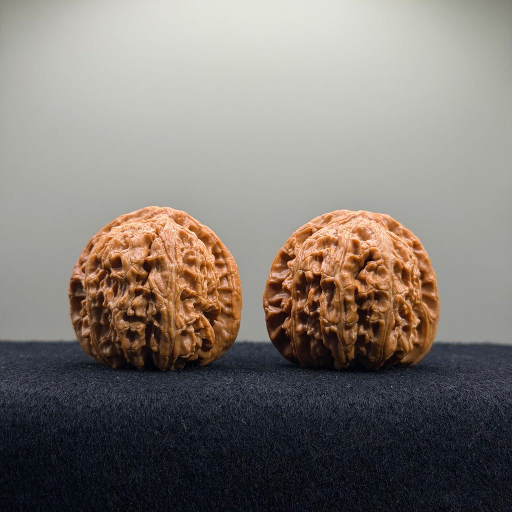 White Lion Wenwan Walnut · 41mm ·  Premium Ritual