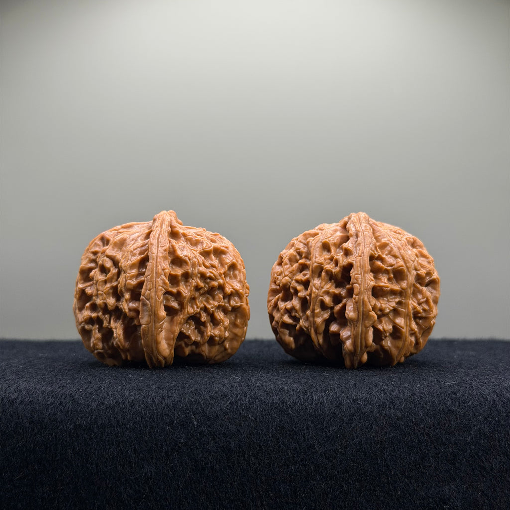White Lion Wenwan Walnut · 41mm ·  Premium Ritual