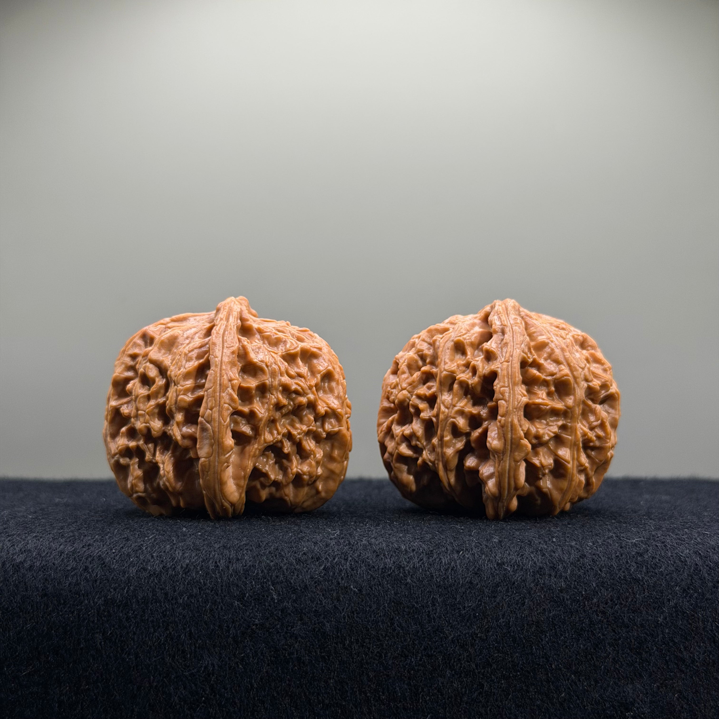 White Lion Wenwan Walnut · 41mm ·  Premium Ritual