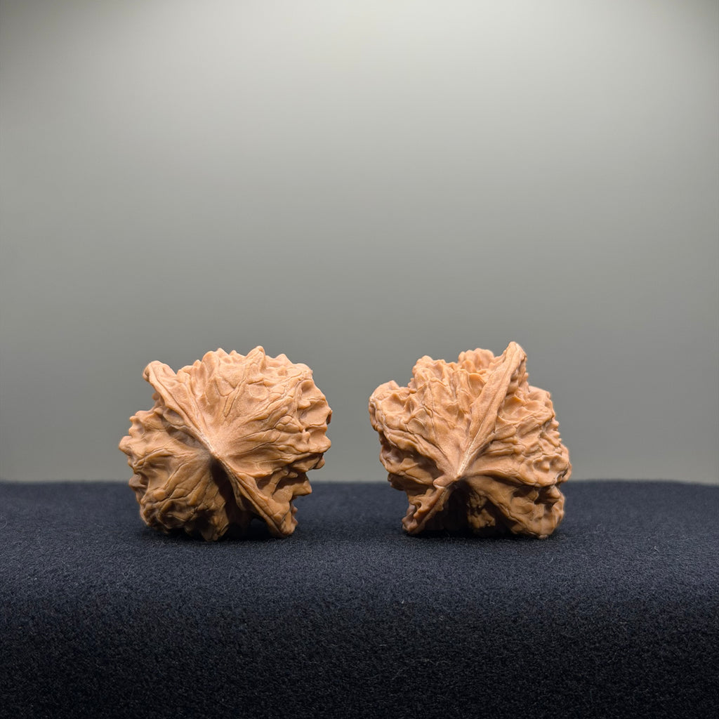 First Love Wenwan Walnut · 36mm · Natural · Entry Ritual