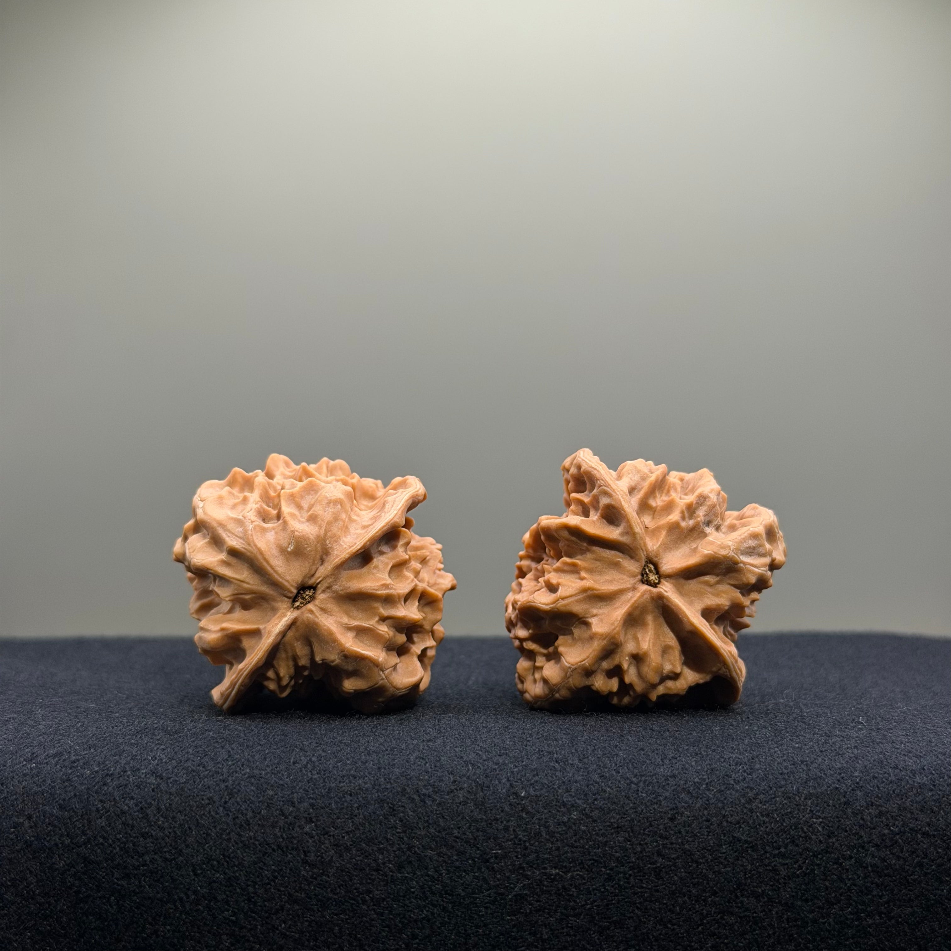 First Love Wenwan Walnut · 36mm · Natural · Entry Ritual
