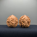 First Love Wenwan Walnut · 35mm · Natural · Entry Ritual