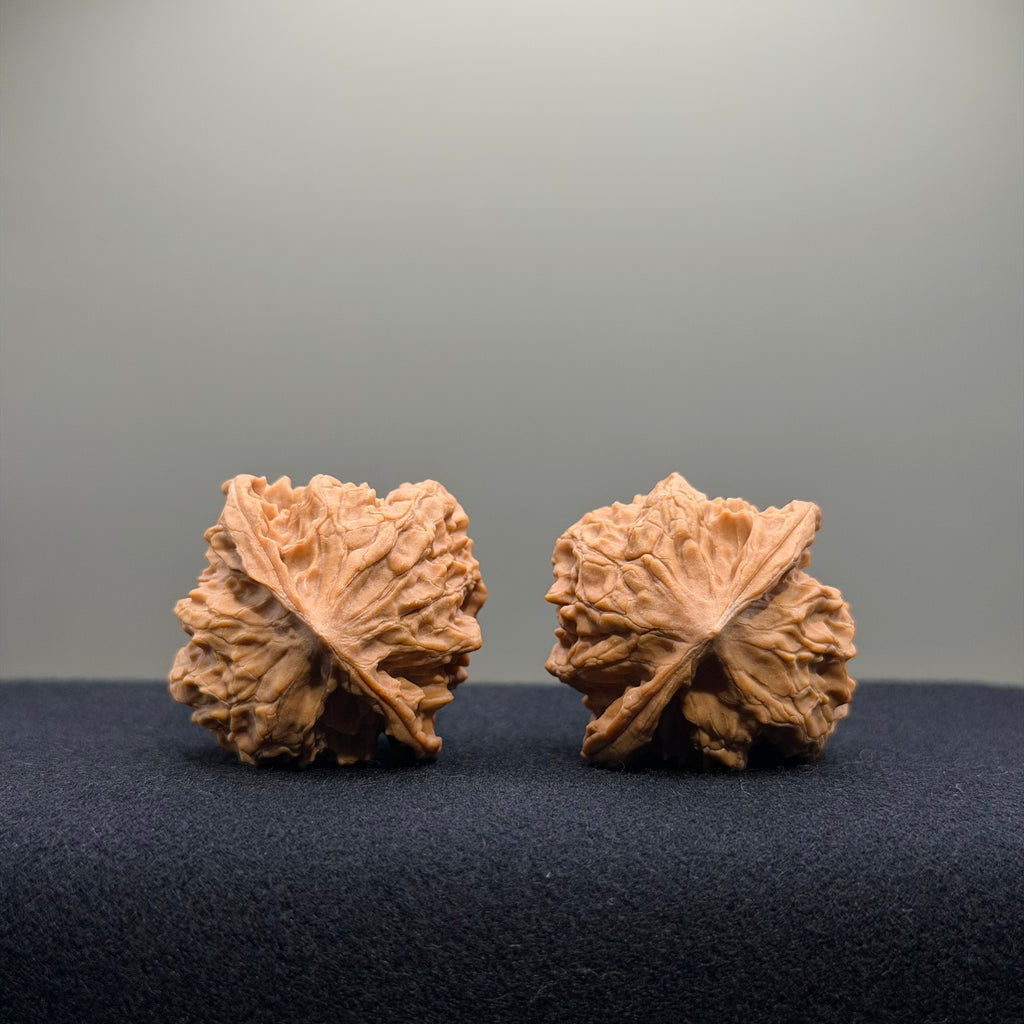 First Love Wenwan Walnut · 35mm · Natural · Entry Ritual