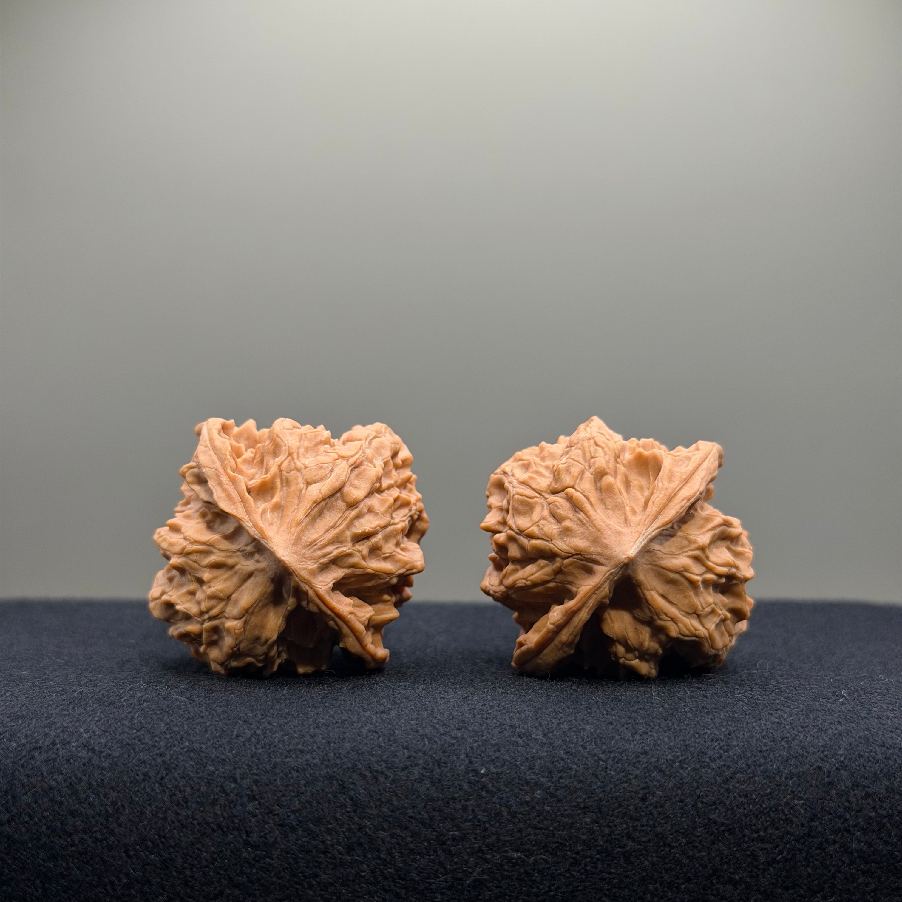 First Love Wenwan Walnut · 35mm · Natural · Entry Ritual