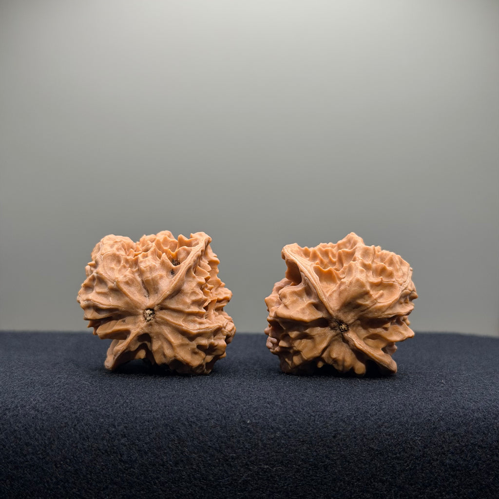 First Love Wenwan Walnut · 35mm · Natural · Entry Ritual