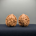 First Love Wenwan Walnut · 34mm · Natural · Entry Ritual