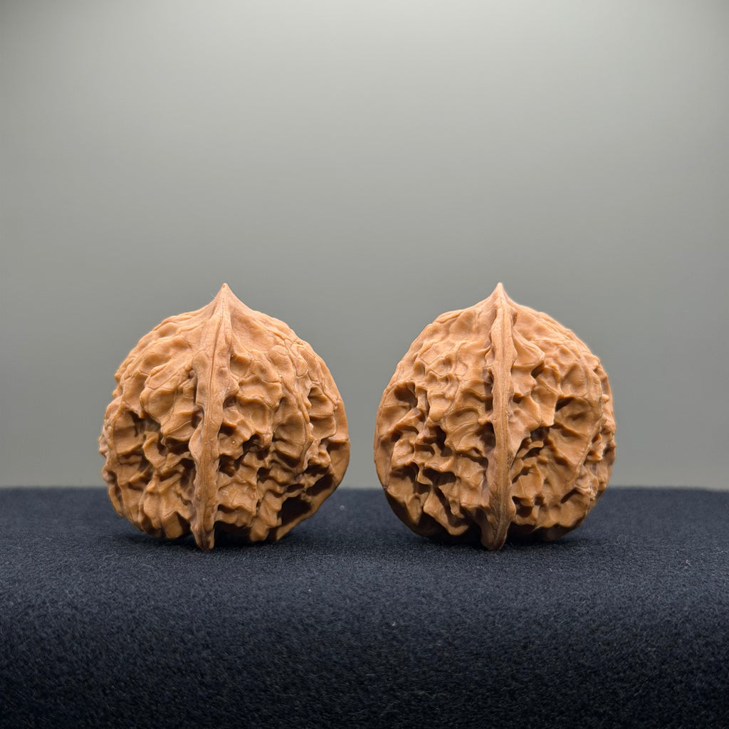 First Love Wenwan Walnut · 34mm · Natural · Entry Ritual