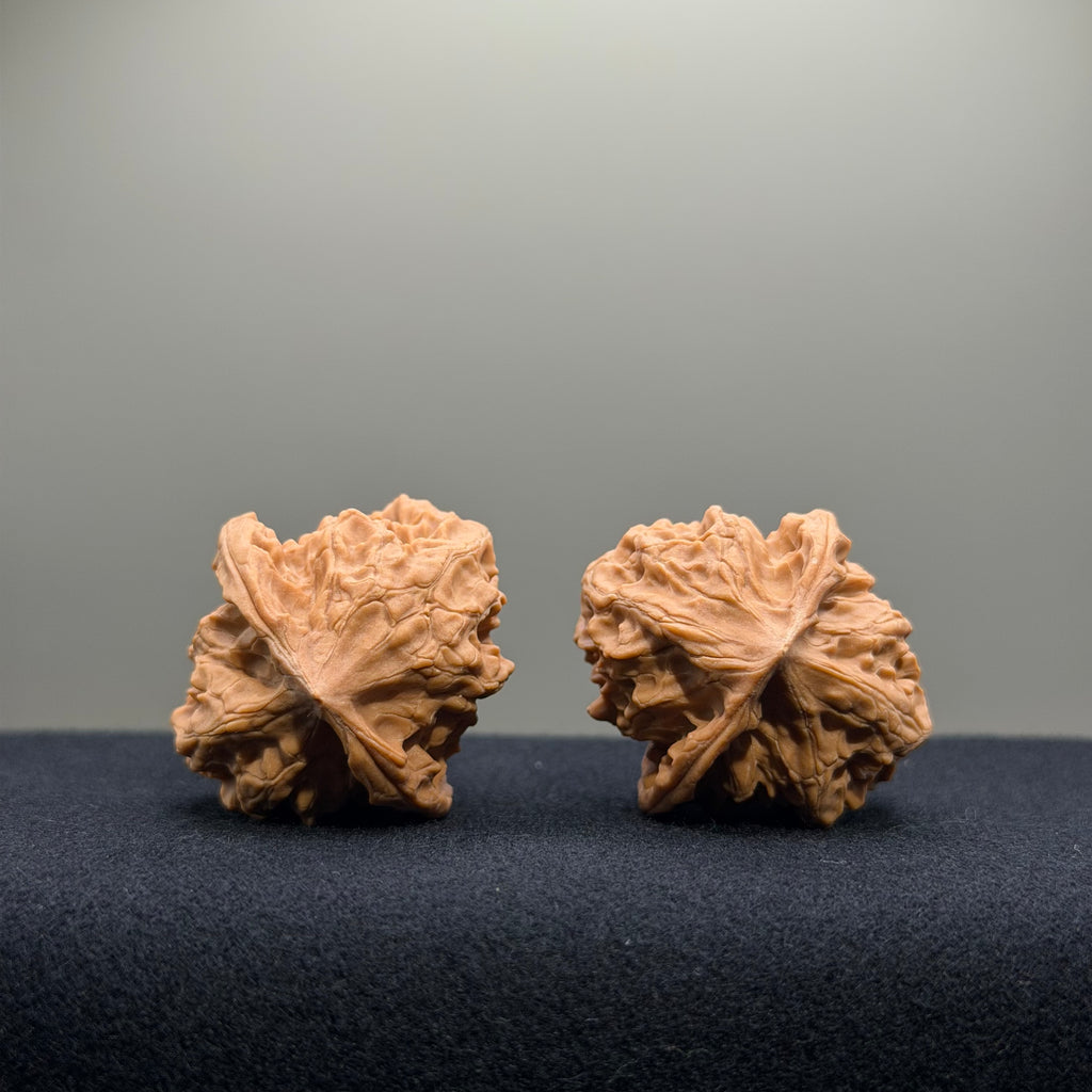 First Love Wenwan Walnut · 34mm · Natural · Entry Ritual