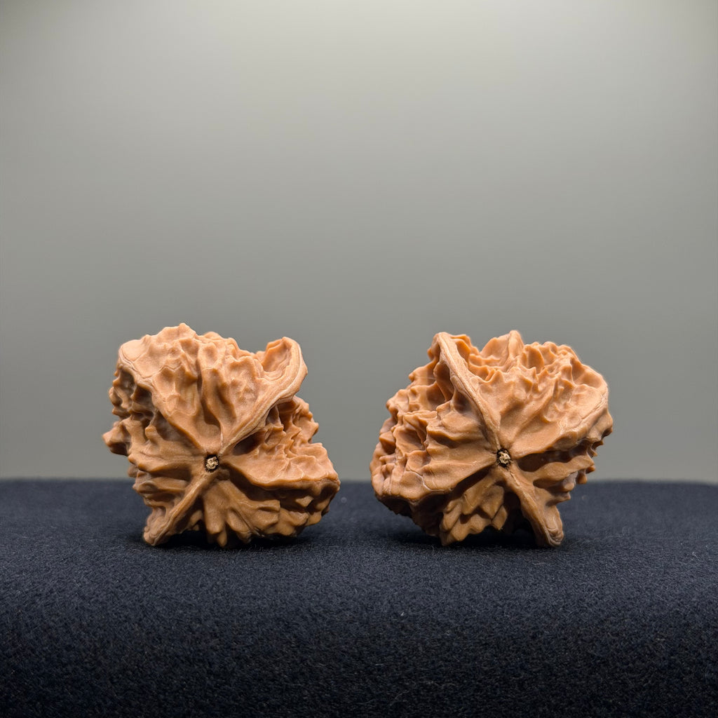 First Love Wenwan Walnut · 34mm · Natural · Entry Ritual
