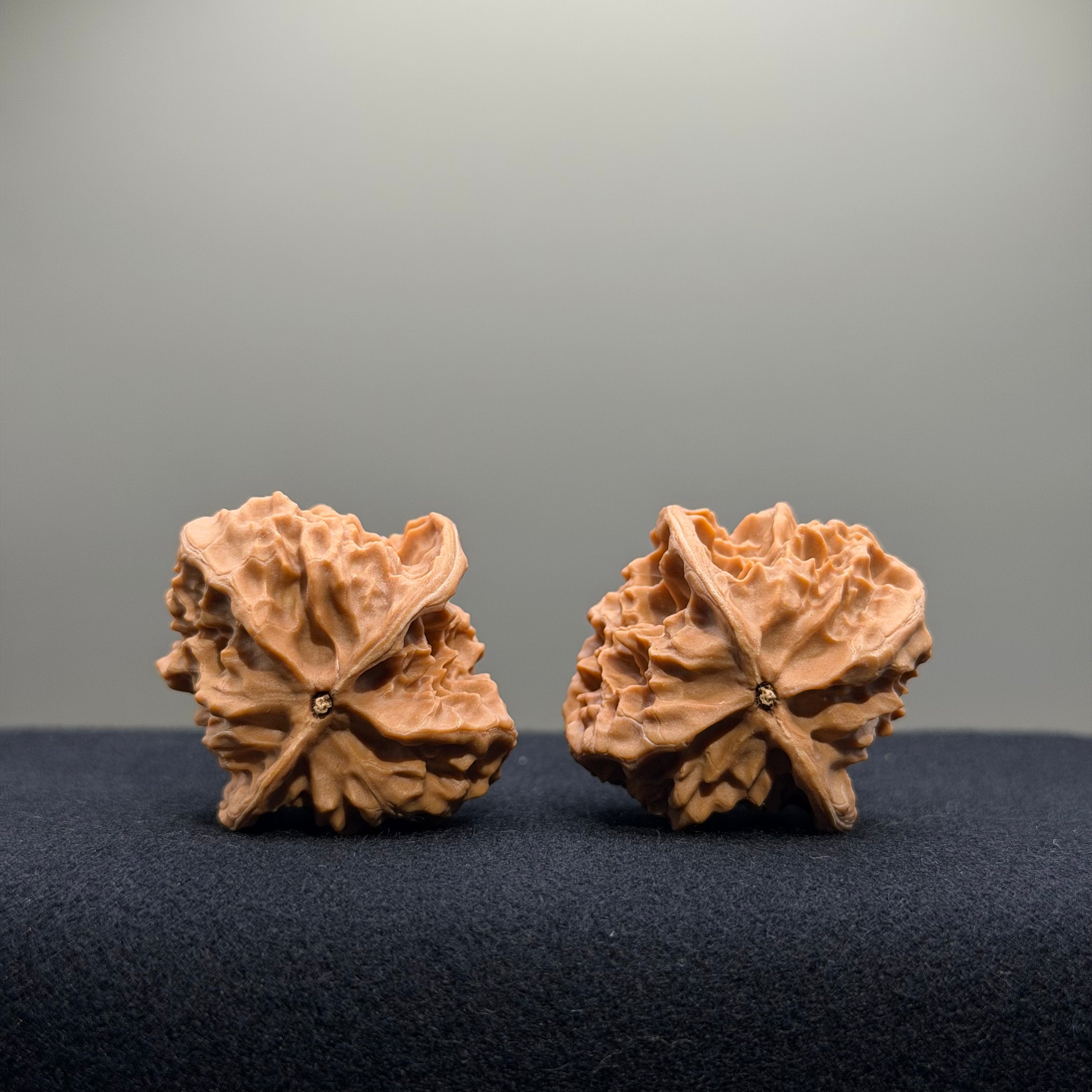 First Love Wenwan Walnut · 34mm · Natural · Entry Ritual