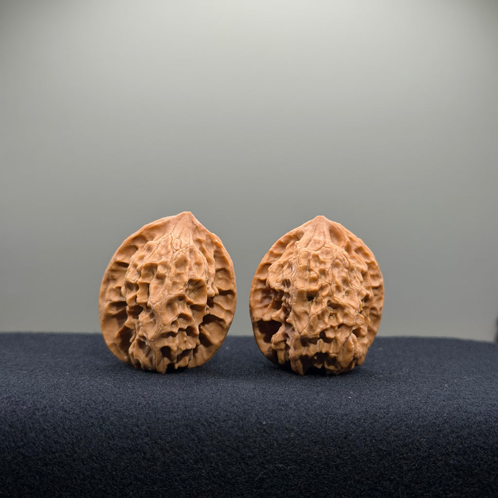 First Love Wenwan Walnut · 32mm · Natural · Entry Ritual
