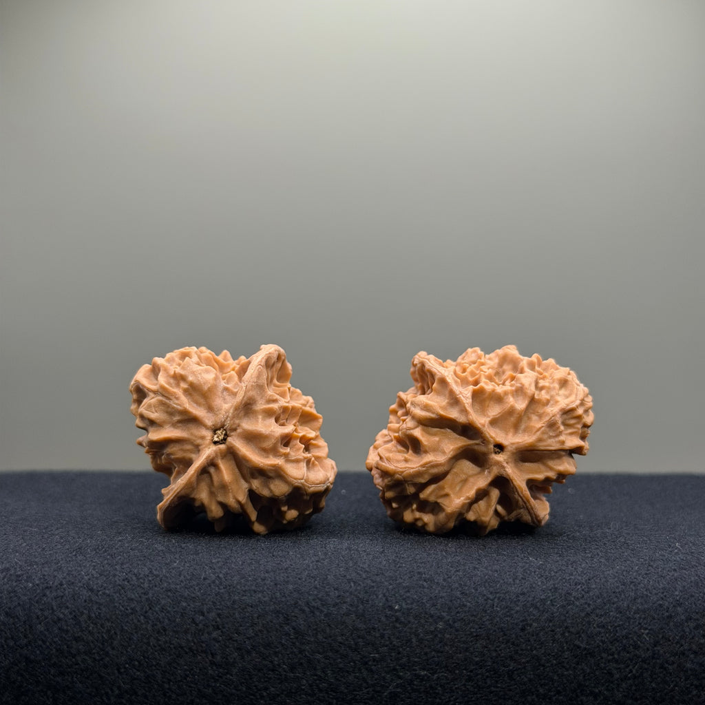 First Love Wenwan Walnut · 32mm · Natural · Entry Ritual