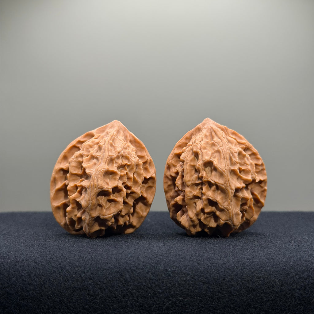 First Love Wenwan Walnut · 37mm · Natural · Entry Ritual