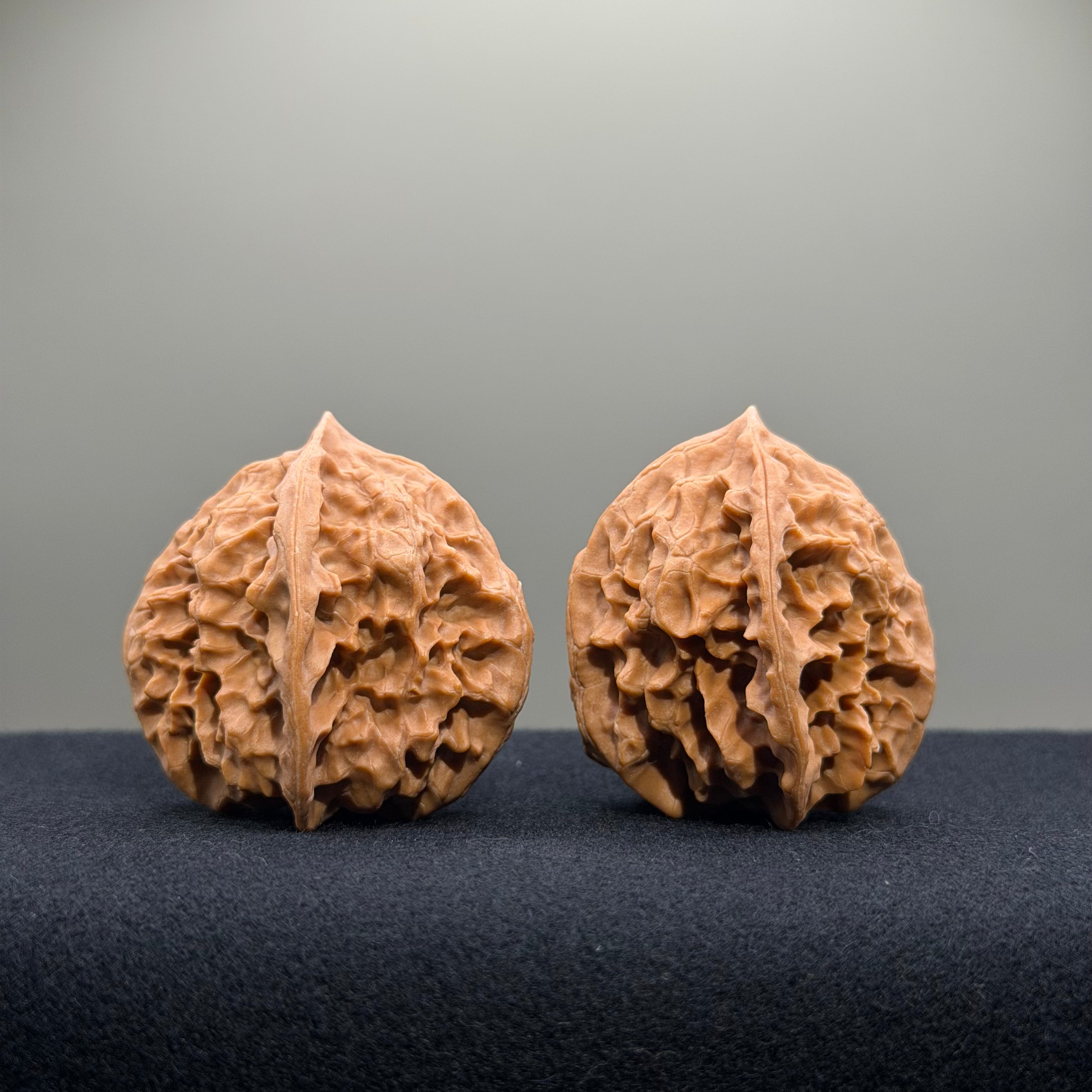 First Love Wenwan Walnut · 37mm · Natural · Entry Ritual