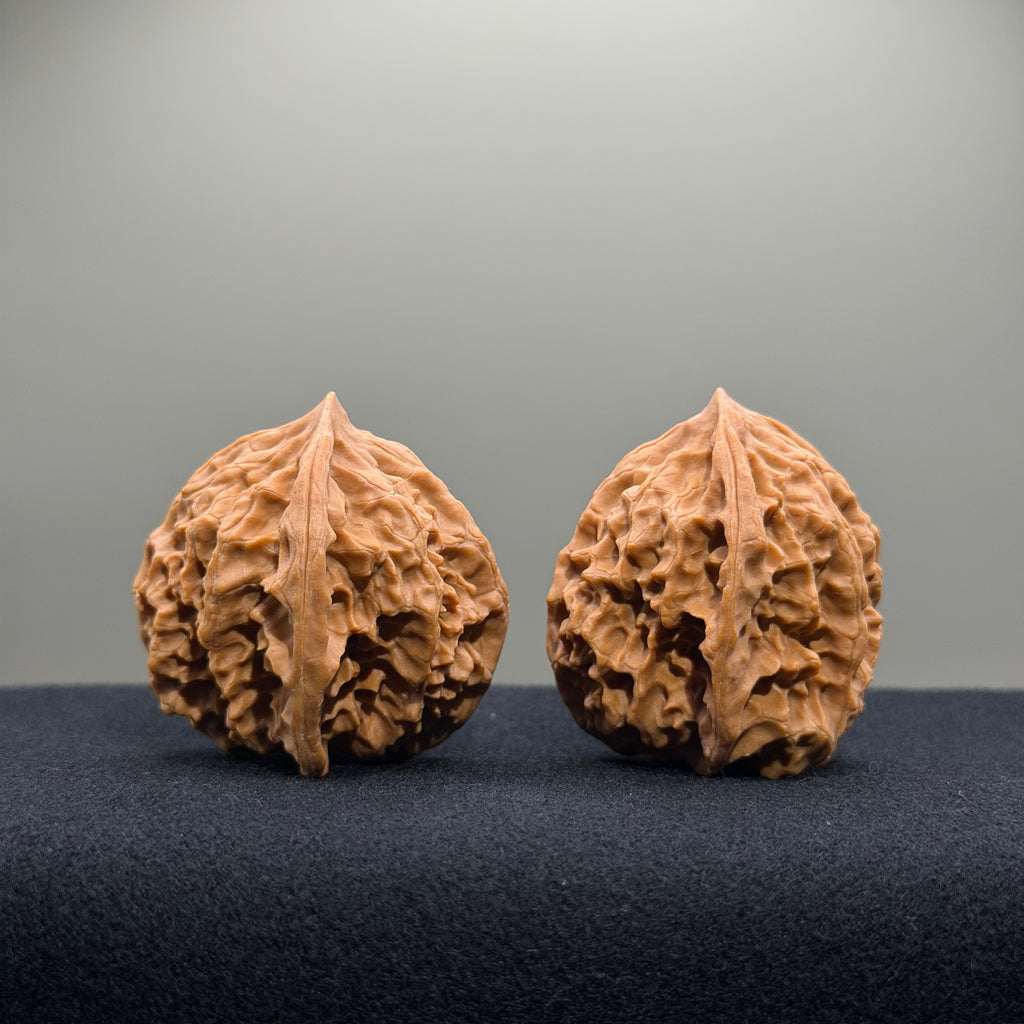 First Love Wenwan Walnut · 37mm · Natural · Entry Ritual