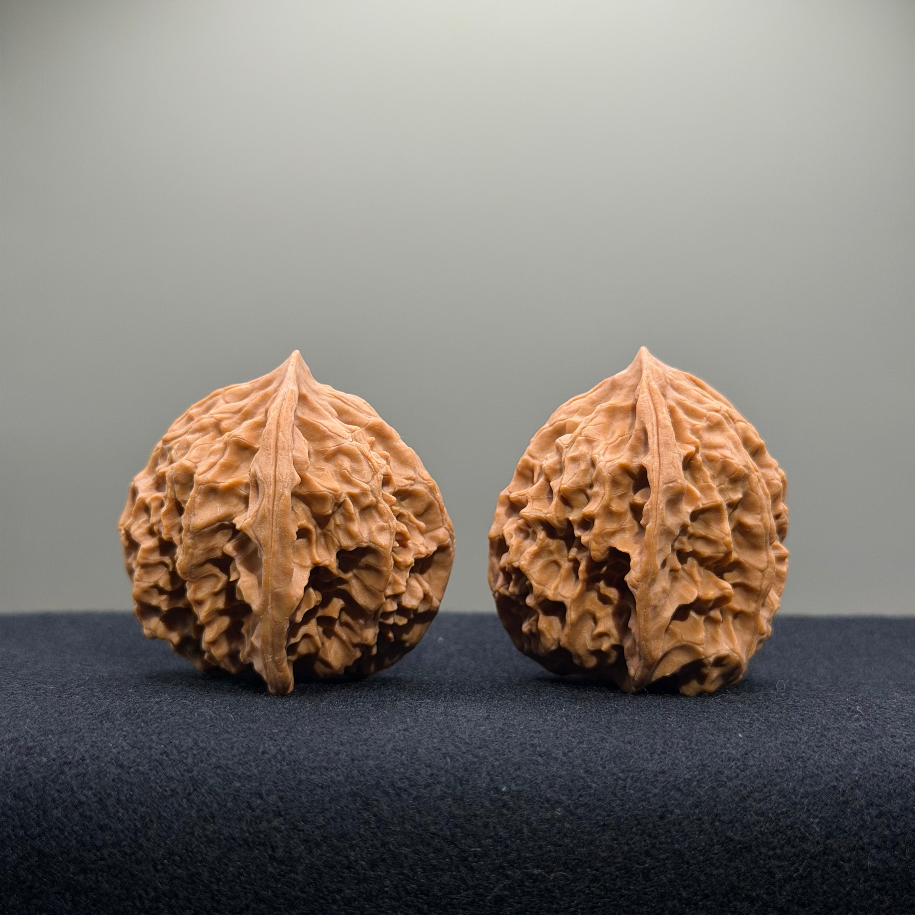 First Love Wenwan Walnut · 37mm · Natural · Entry Ritual